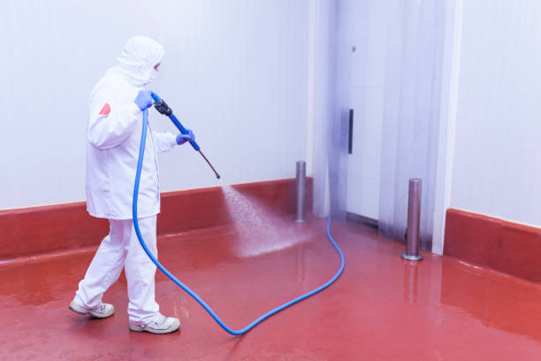 Best Roof Washing  in Bell Acres, PA